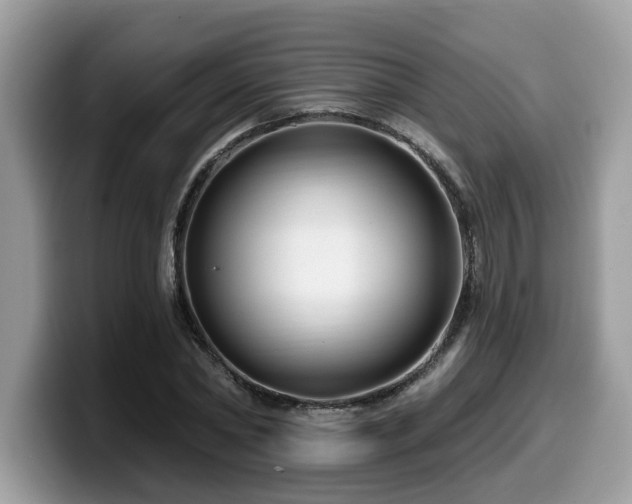 X0000099960782200805301313