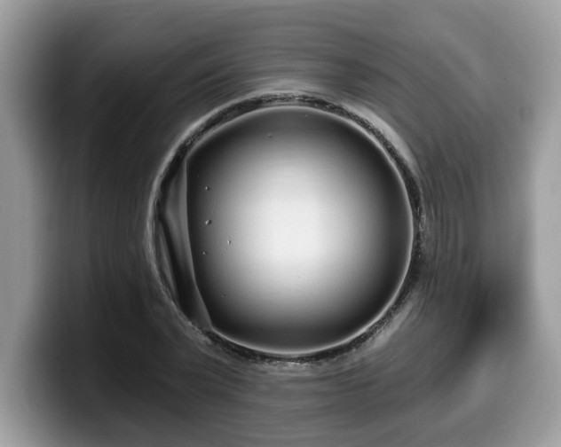 X0000099960783200805301313