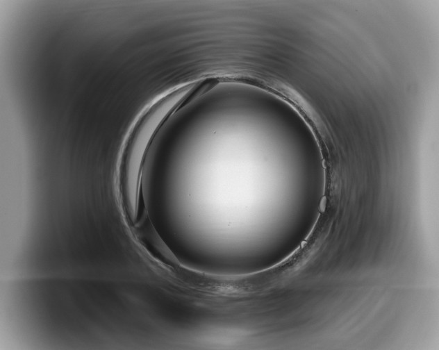 X0000099960787200805301313