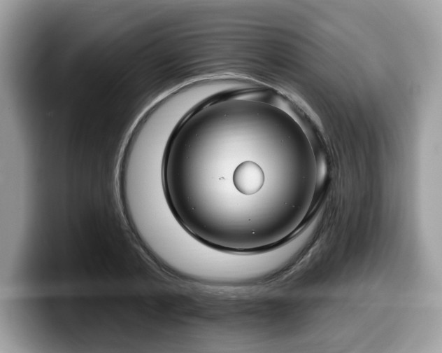 X0000099960789200805301313