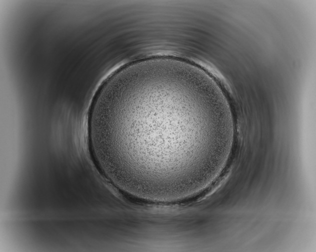 X0000099960790200805301313