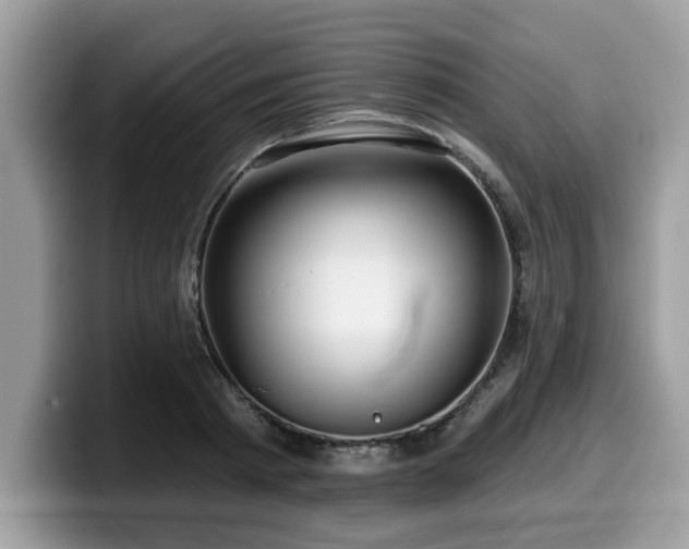 X0000099960793200805301313