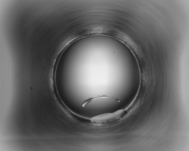 X0000099960794200805301313