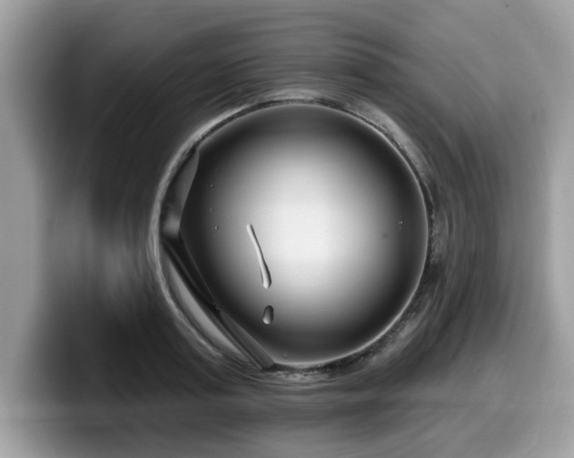 X0000099960795200805301313