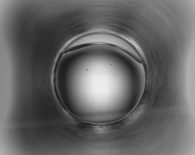X0000099960799200805301313