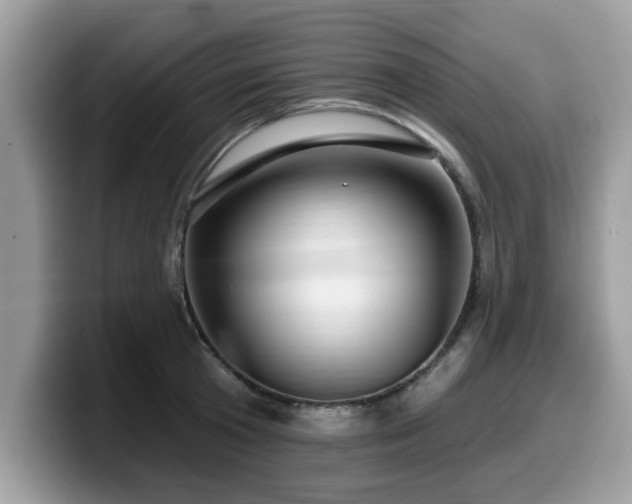 X0000099960801200805301313