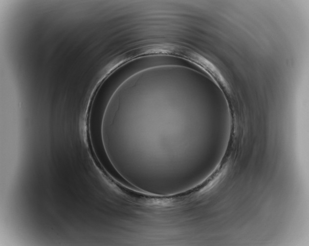 X0000099960802200805301313