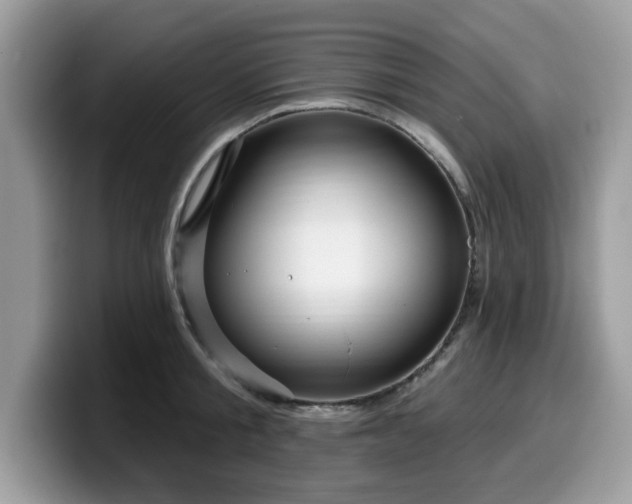 X0000099960805200805301313