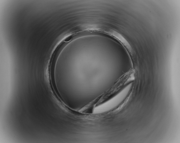 X0000099960806200805301312