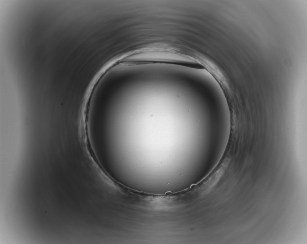 X0000099960808200805301312