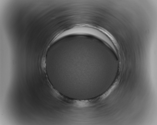 X0000099960809200805301312