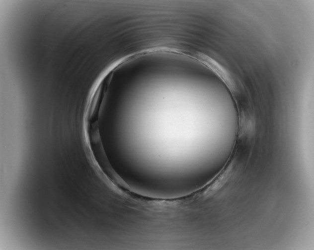 X0000099960812200805301312