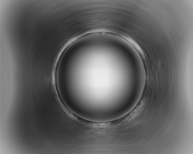 X0000099960813200805301312