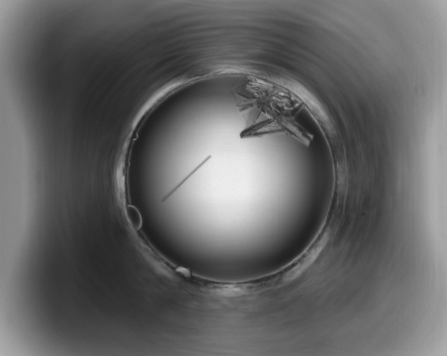 X0000099960814200805301312
