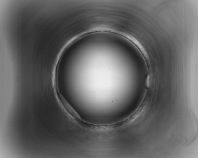 X0000099960815200805301312