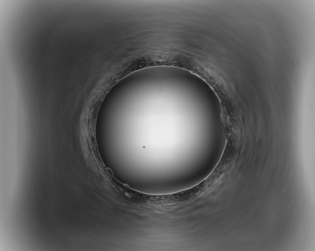 X0000099960817200805301312