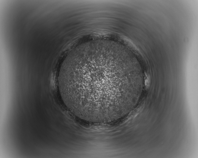 X0000099960819200805301312