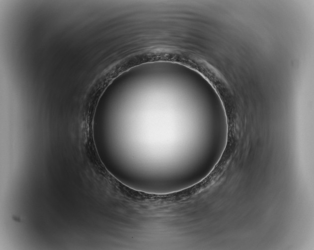 X0000099960821200805301312