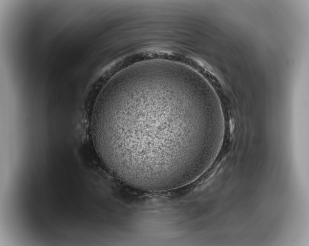 X0000099960822200805301312