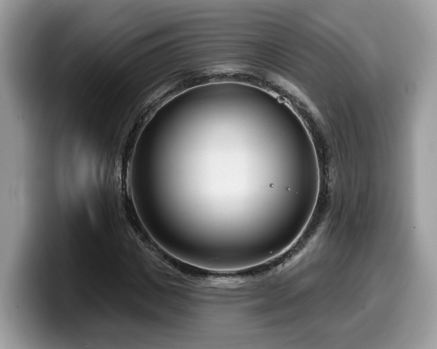 X0000099960825200805301312