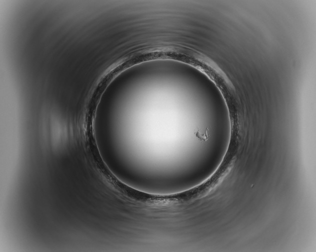 X0000099960826200805301312