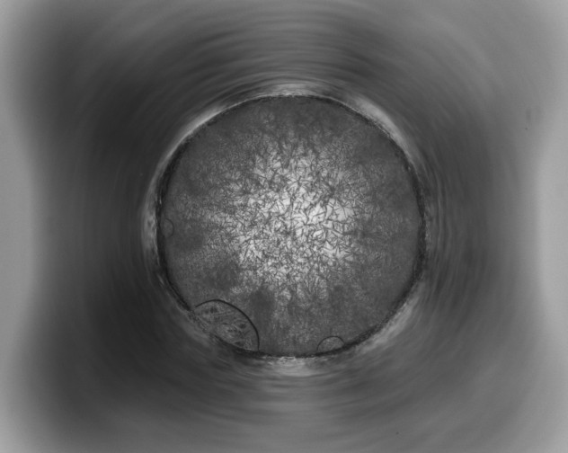 X0000099960827200805301312