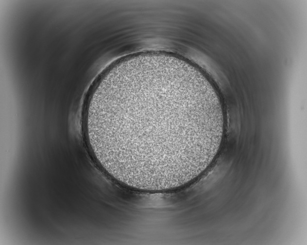 X0000099960828200805301312