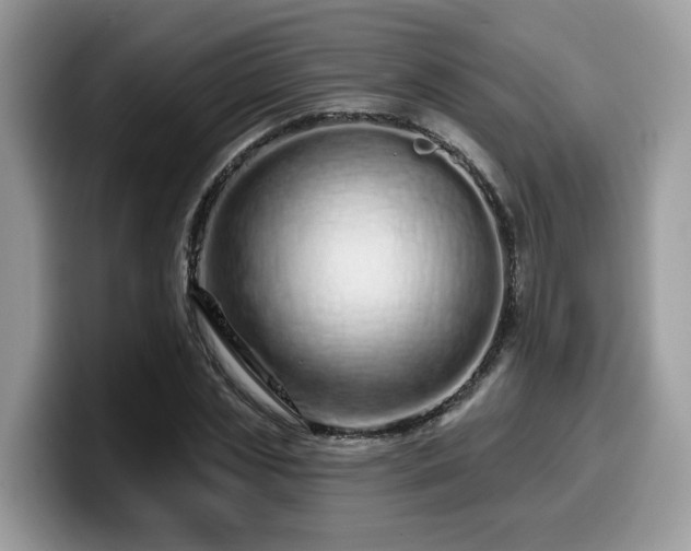 X0000099960829200805301312