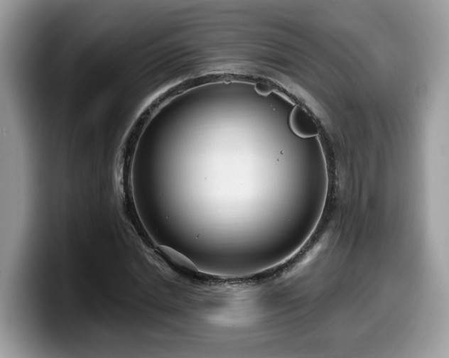 X0000099960830200805301312
