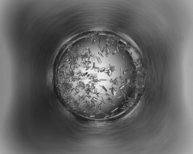 X0000099960831200805301312