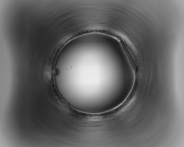 X0000099960833200805301312