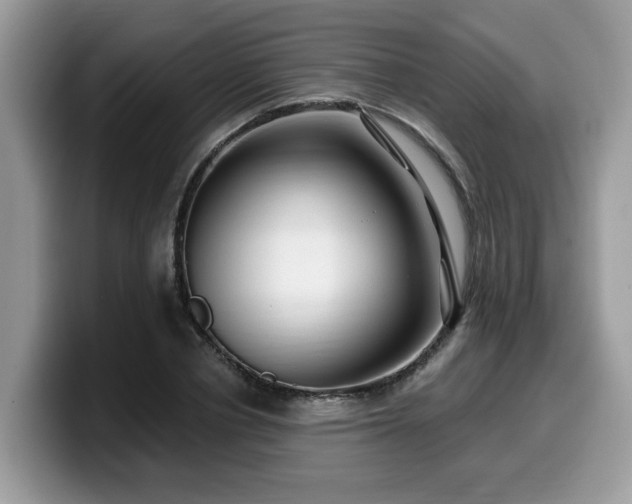 X0000099960834200805301312