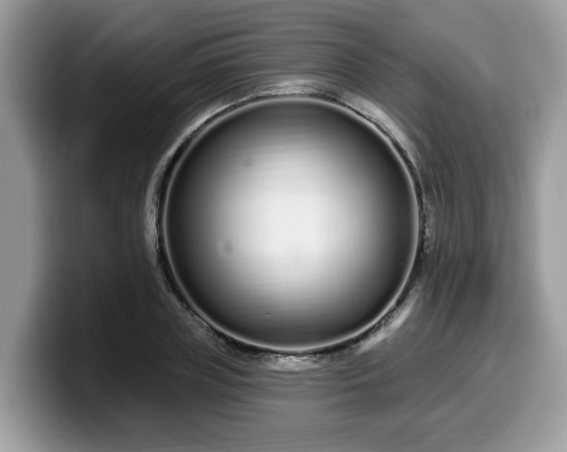 X0000099960835200805301312
