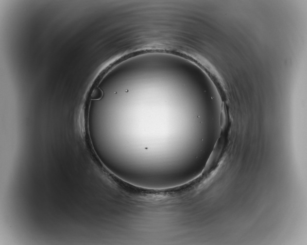 X0000099960838200805301312