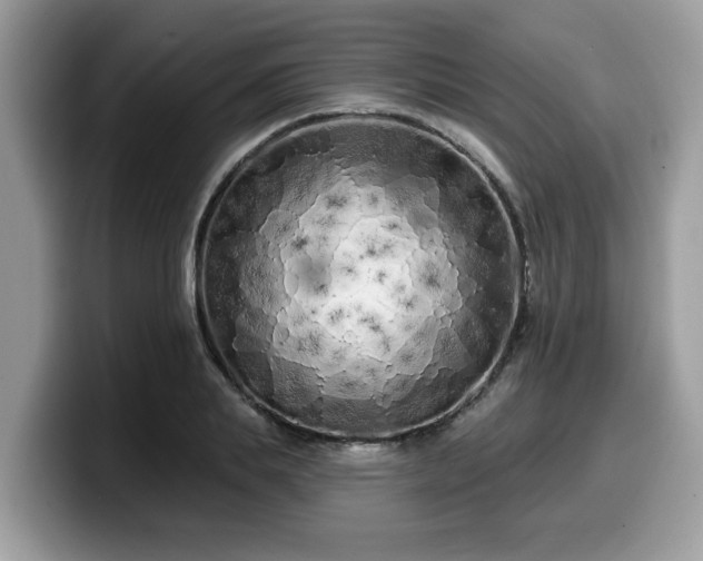 X0000099960839200805301312