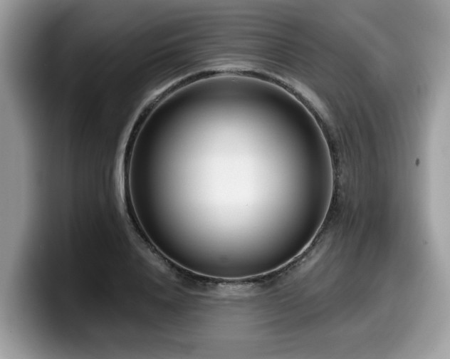X0000099960840200805301312