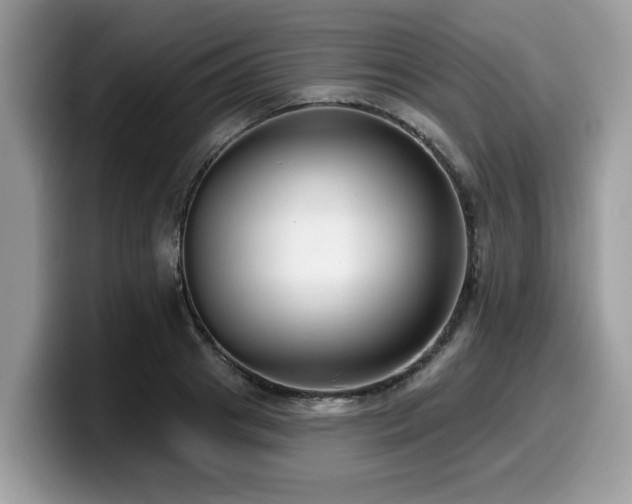 X0000099960841200805301312