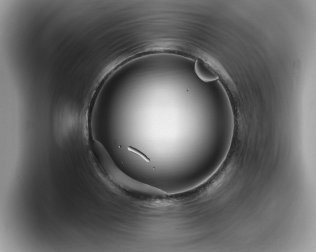 X0000099960842200805301312