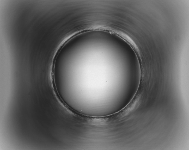 X0000099960847200805301312