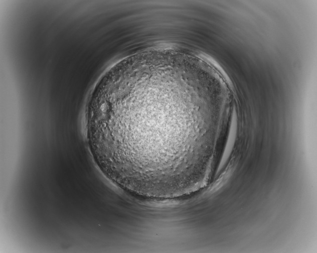 X0000099960851200805301312