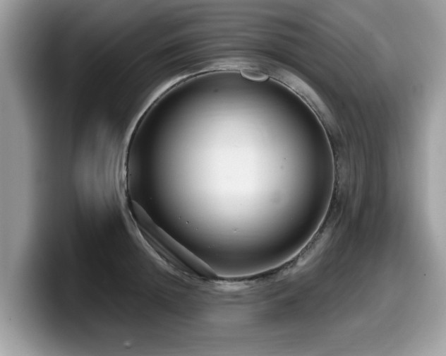 X0000099960852200805301312