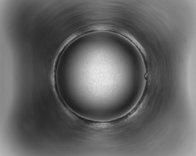 X0000099960853200805301312