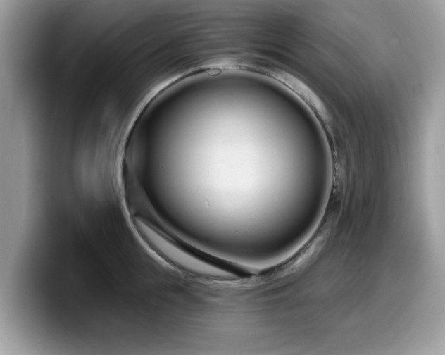 X0000099960855200805301312