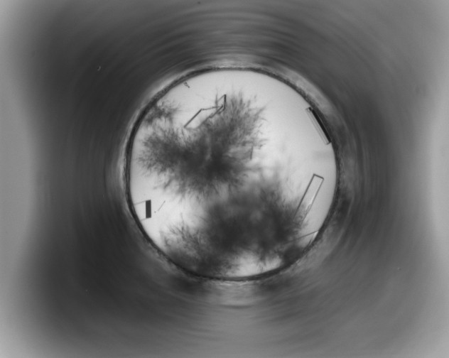 X0000099960856200805301312
