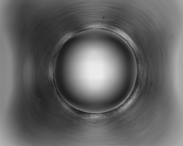 X0000099960857200805301312