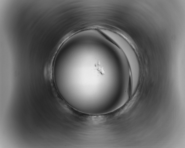 X0000099960858200805301312