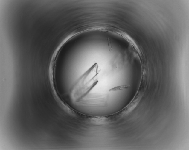 X0000099960859200805301312