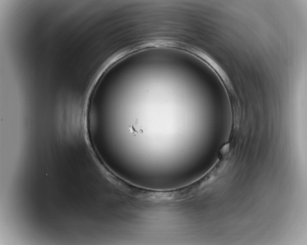 X0000099960861200805301312