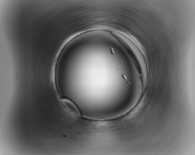 X0000099960862200805301312