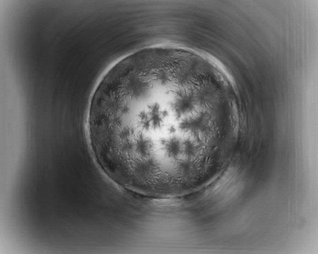X0000099960863200805301312